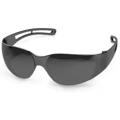 OCULOS DE PROTEÇAO SIMPLES FUME