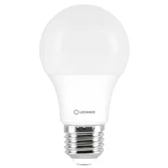 LAMPADA LED 6500K BULBO